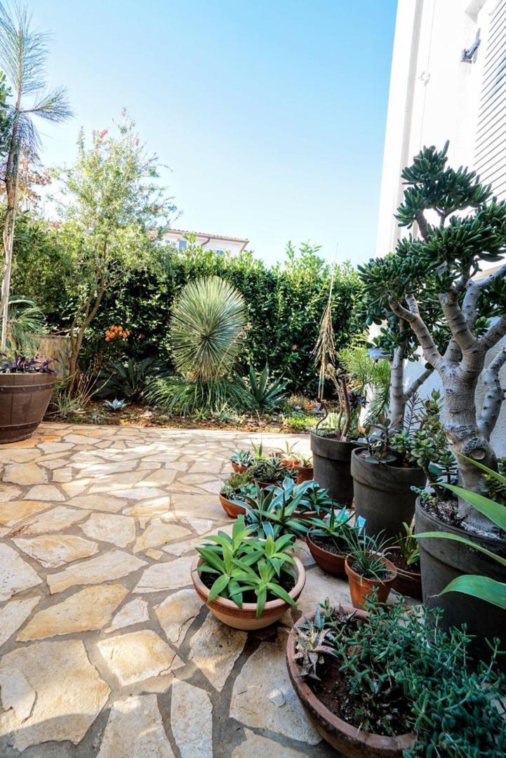 Apartment Vlado زامبراتيجا المظهر الخارجي الصورة